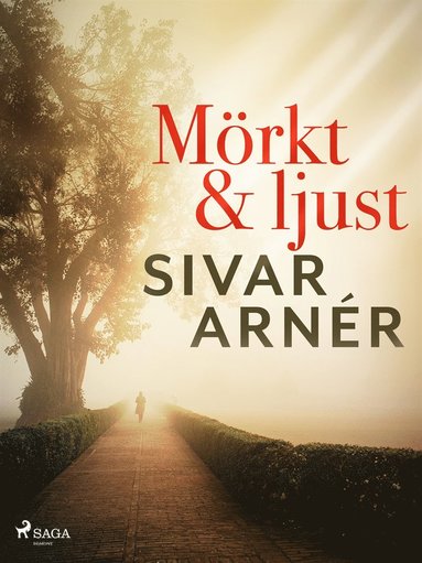 Mörkt och ljust (e-bok)