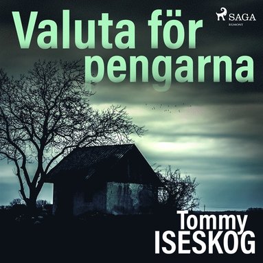 Valuta fr pengarna (inbunden)