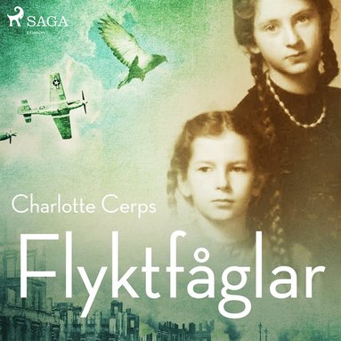 Flyktfglar (ljudbok)