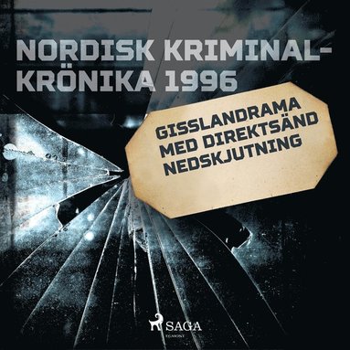 Gisslandrama med direktsnd nedskjutning (ljudbok)
