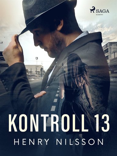 Kontroll 13 (pocket)