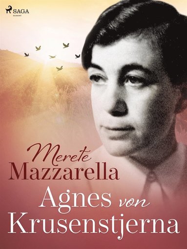 Agnes von Krusenstjerna (e-bok)