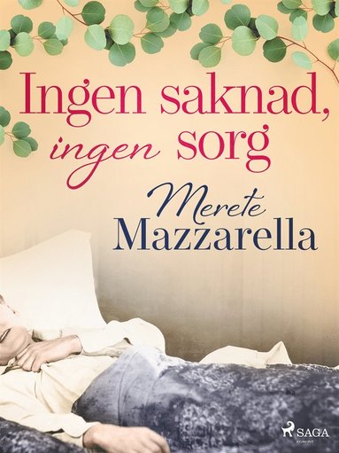 Ingen saknad, ingen sorg (e-bok)