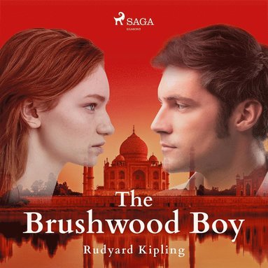 The Brushwood Boy (ljudbok)