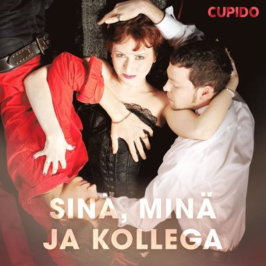 Sin, min ja kollega (e-bok)