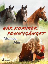Här kommer Ponnygänget (e-bok)