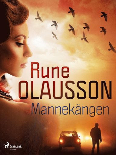 Mannekngen (e-bok)