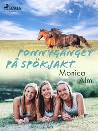 Ponnygänget på spökjakt (e-bok)