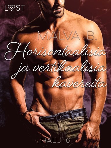 Halu 6: Horisontaalisia ja vertikaalisia kavereita - eroottinen novelli (e-bok)