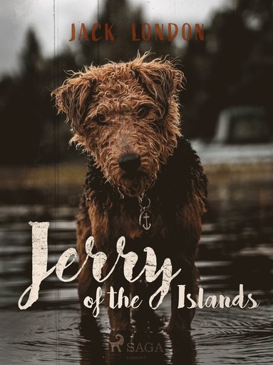 Jerry of the Islands (häftad)