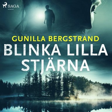 Blinka lilla stjrna (ljudbok)