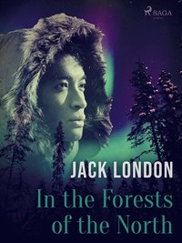In the Forests of the North (e-bok)