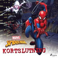 Spider-Man - Kortslutning (ljudbok)