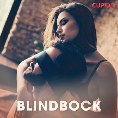 Blindbock - erotiska noveller (mp3-skiva)