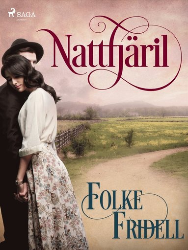 Nattfj�ril (e-bok)