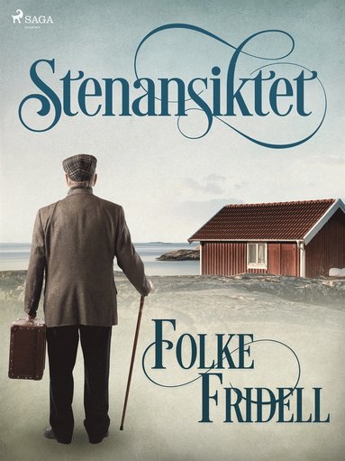 Stenansiktet (e-bok)