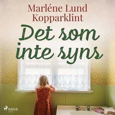 Det som inte syns (ljudbok)