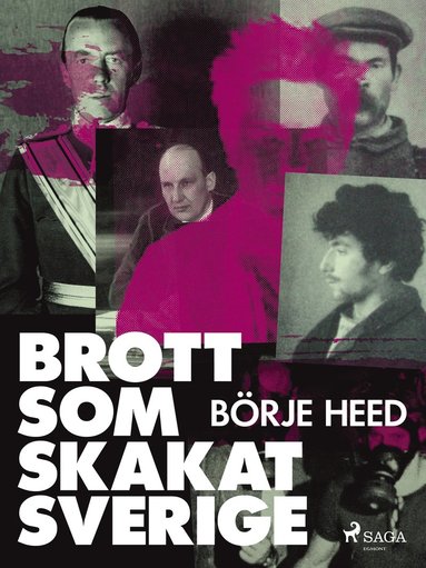 Brott som skakat Sverige (e-bok)
