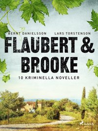 Flaubert & Brooke (e-bok)