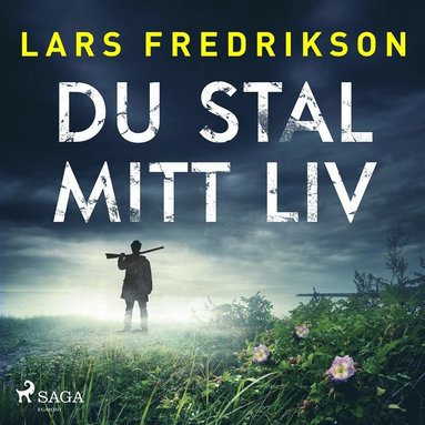 Du stal mitt liv (ljudbok)