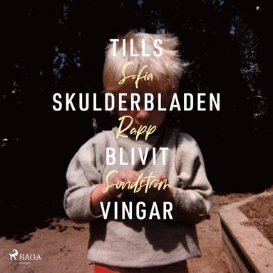 Tills skulderbladen blivit vingar (kartonnage)