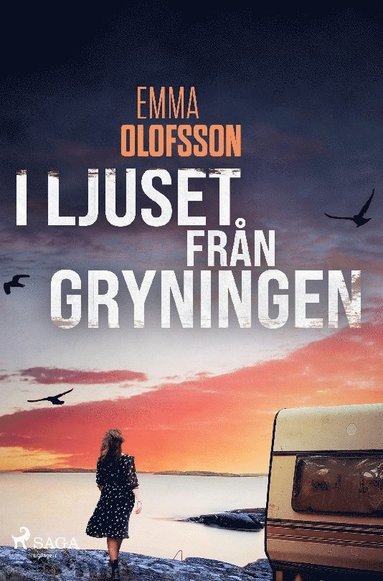 I ljuset frn gryningen (pocket)