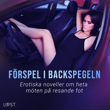 Frspel i backspegeln: Erotiska noveller om heta mten p resande fot (ljudbok)