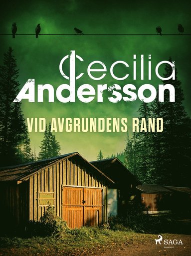 Vid avgrundens rand (ljudbok)