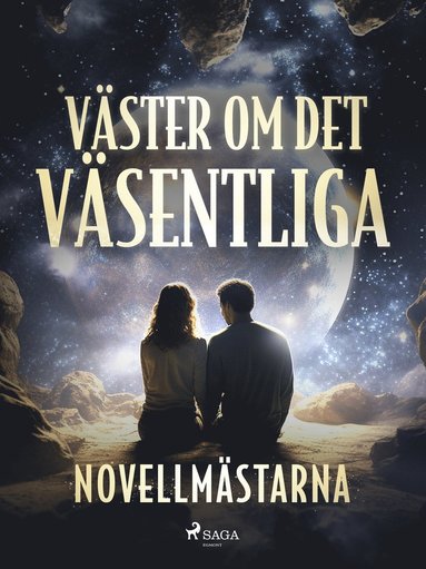 Väster om det väsentliga (e-bok)