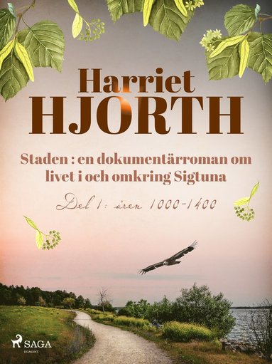 Staden : en dokumentärroman om livet i och omkring Sigtuna (häftad)