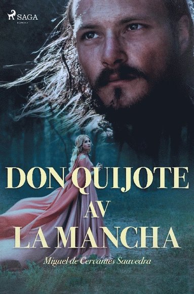 Don Quijote av la Mancha (inbunden)