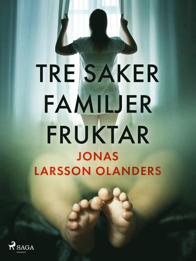 Tre saker familjer fruktar (kartonnage)