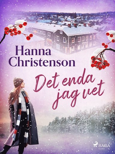 Det enda jag vet (hftad)