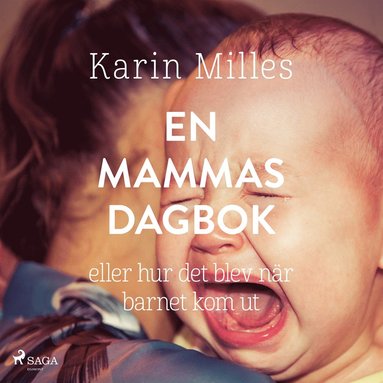 En mammas dagbok (inbunden)