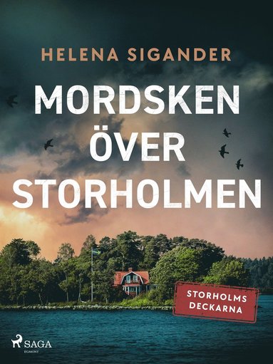 Mordsken ver Storholmen (e-bok)