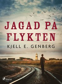 Jagad p flykten (e-bok)