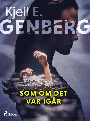 Som om det var igr (e-bok)