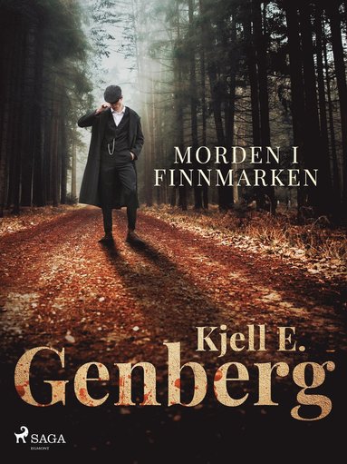 Morden i Finnmarken (e-bok)