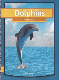 Dolphins (hftad)