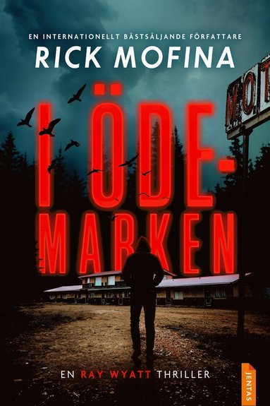 I demarken (e-bok)