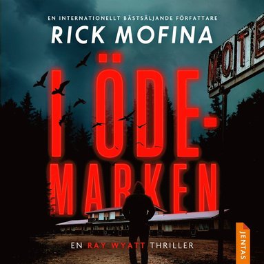 I demarken (ljudbok)
