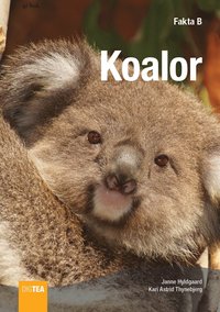 Koalor (e-bok)