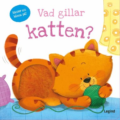 Vad gillar katten (ls och knn) (kartonnage)