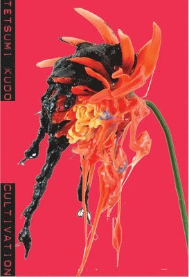Tetsumi Kudo: Cultivation (inbunden)