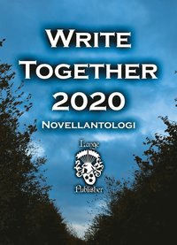 Write Together 2020 (e-bok)