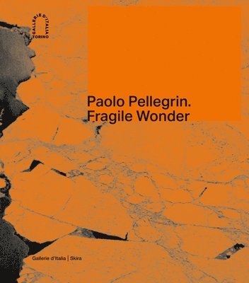 Paolo Pellegrin (inbunden)