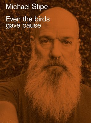 Michael Stipe: Even the birds gave pause (inbunden)