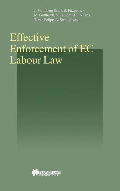 Effective Enforcement of EC Labour Law (hftad)