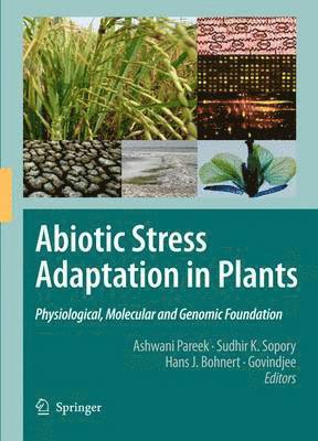 Abiotic Stress Adaptation in Plants (hftad)