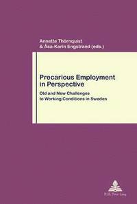 Precarious Employment in Perspective (häftad)